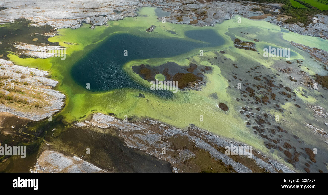 Vista aerea, piccoli laghi nel Burrenfelsen Turloughs, nel Burren, le alghe verdi Burren, riserva naturale di calcare, Chalk Foto Stock