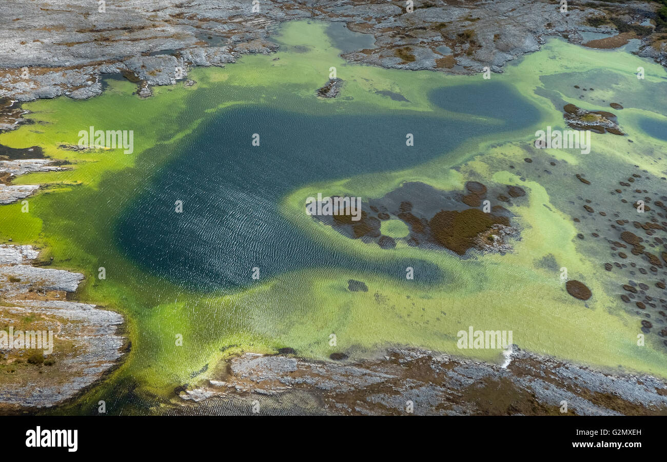 Vista aerea, piccoli laghi nel Burrenfelsen Turloughs, nel Burren, le alghe verdi Burren, riserva naturale di calcare, Chalk Foto Stock