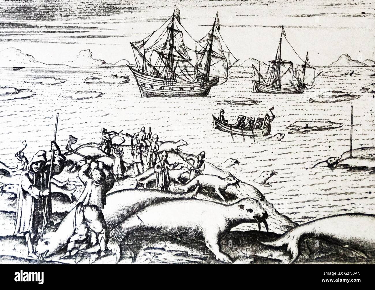Van di barentz viaggi da Gerrit de veer 1598 il tricheco hunt. Willem Barentsz (William Barents Barentz o) (c. 1550 - 20 giugno 1597) navigatore olandese, cartografo, e Arctic explorer. Egli è andato in tre spedizioni all'estremo nord nella ricerca di un passaggio a nordest. Durante la sua terza spedizione l equipaggio fu arenati su Nova Zembla per quasi un anno. Barentsz morì sul viaggio di ritorno nel 1597. Nel XIX secolo il Mare di Barents è stato chiamato dopo di lui. Foto Stock