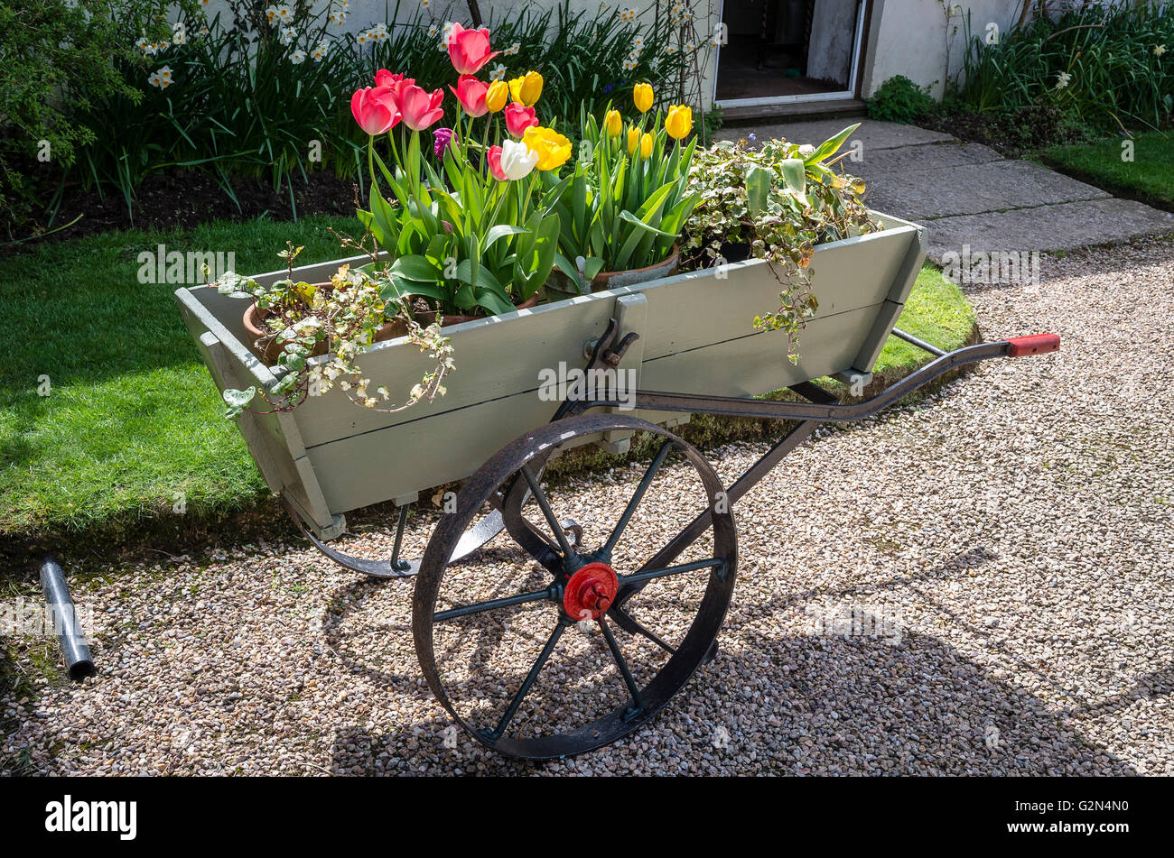 Vecchia fattoria carrello utilizzato come una piantatrice floreali Foto Stock