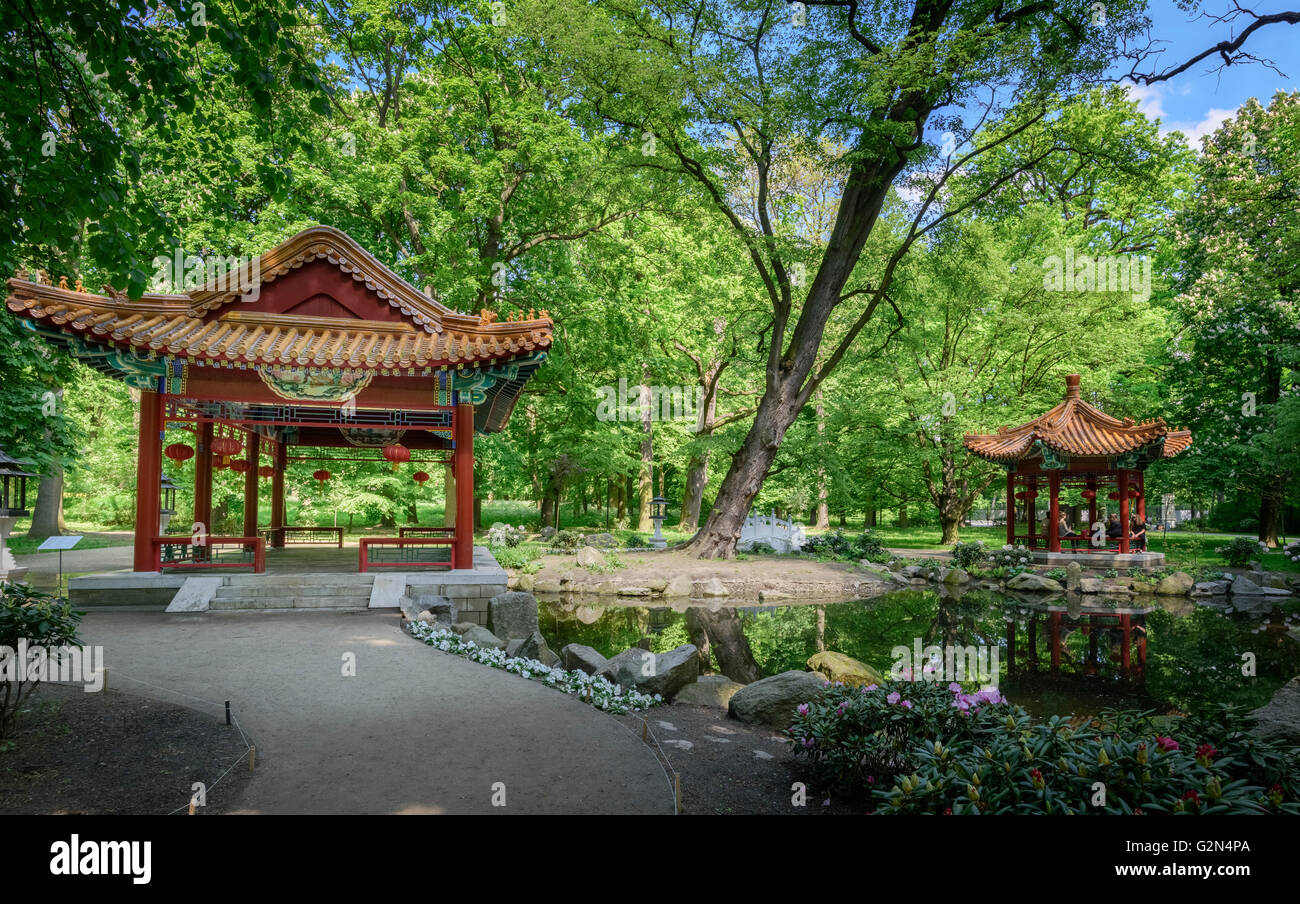 Giardino cinese nel Parco Lazienki Varsavia Foto Stock