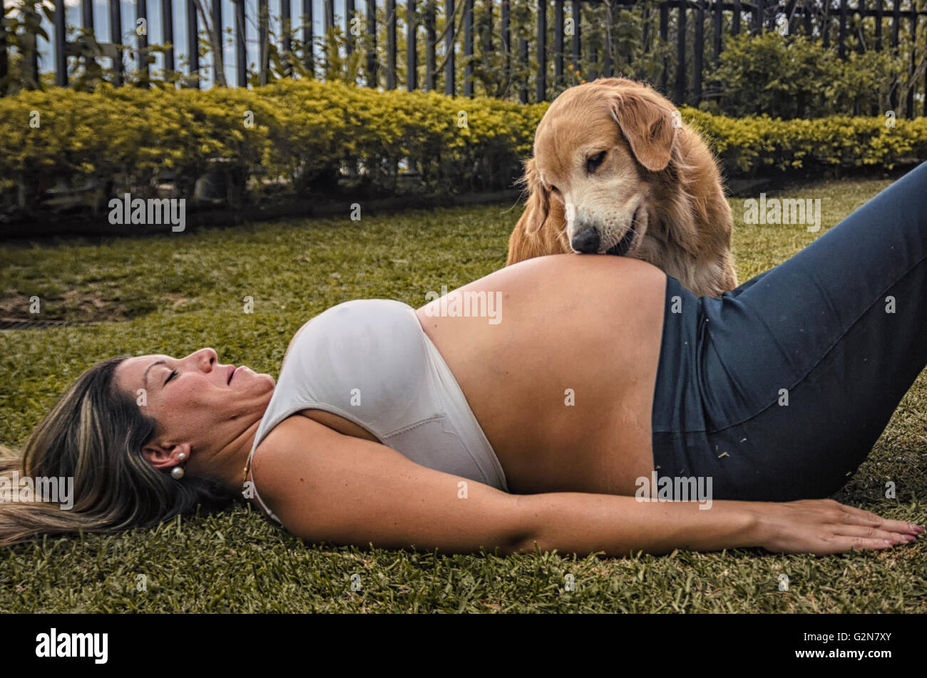 Donna incinta sdraiato in erba con il suo Golden Retriever Foto Stock