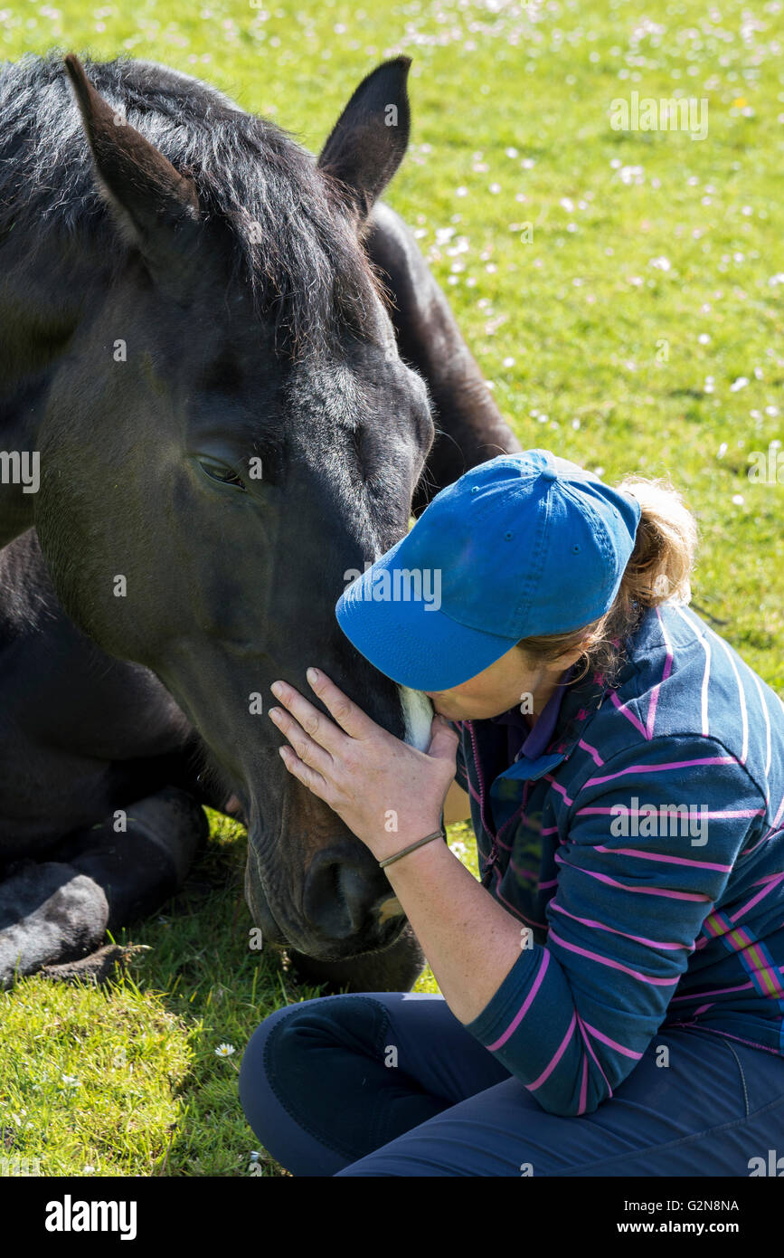 Una donna e il suo cavallo disteso in un prato estivo. La donna mostra affetto al suo sonno cavallo. Foto Stock