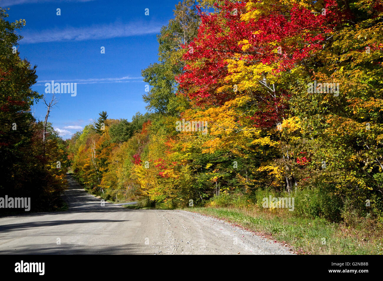 Caduta delle Foglie su un backroad rurale a nord di Stowe Vermont, USA. Foto Stock