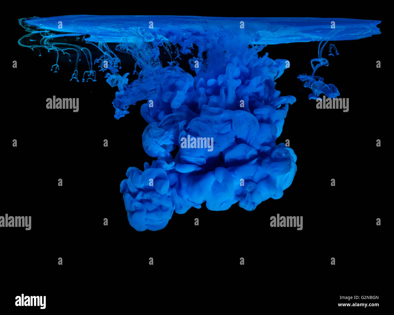 Inchiostro blu in acqua creazione astratta Shape, isolati su sfondo nero Foto Stock