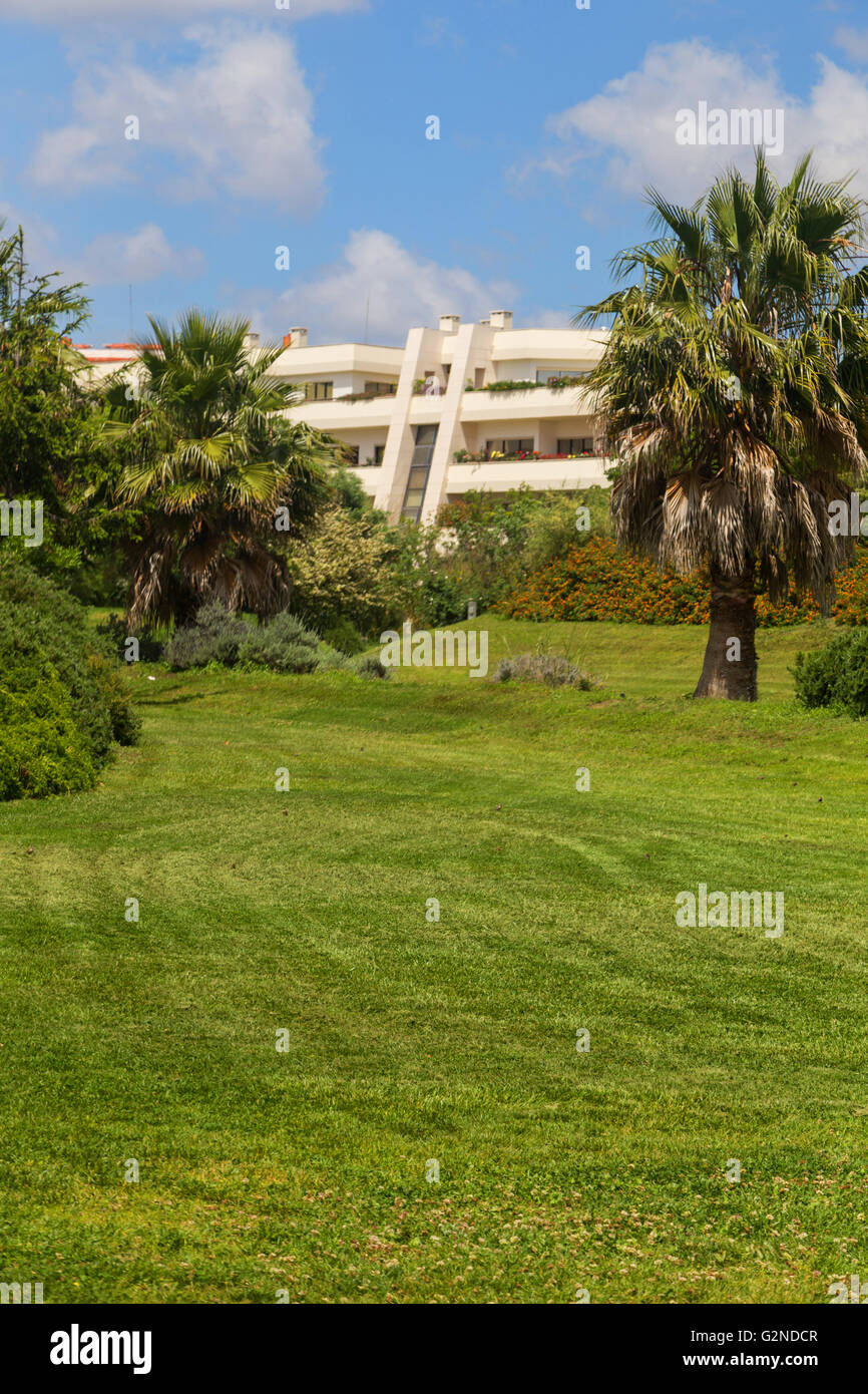 Casa in alberi con grande giardino verde di erba Foto Stock