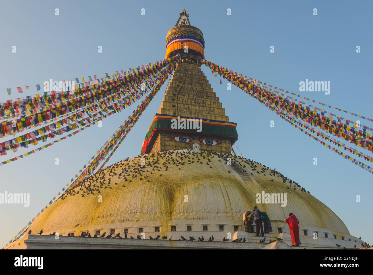 Stupa Boudhanath con centinaia di piccioni e bandiere di preghiera a Kathmandu in Nepal Foto Stock