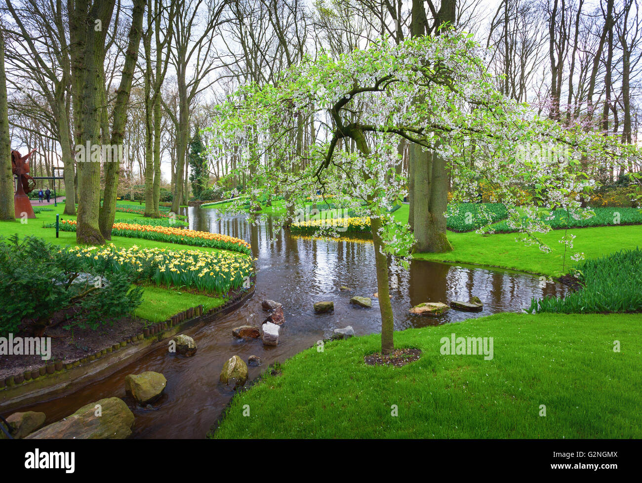 Paesaggio con albero in fiore, bellissimi fiori e flusso di acqua nel famoso parco Keukenhof nei Paesi Bassi. Spring Garden. Natura Foto Stock