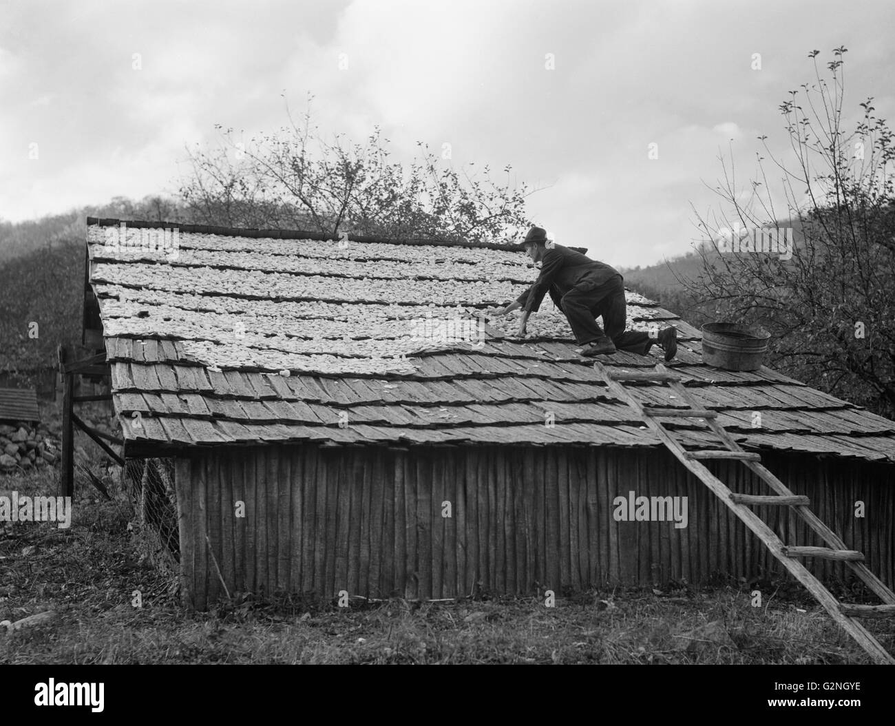 L'uomo diffondere le mele per asciugare,Nicholson,cavo Shenandoah National Park, Virginia, Stati Uniti d'America,Arthur Rothstein per la Farm Security Administration (FSA),Ottobre 1935 Foto Stock