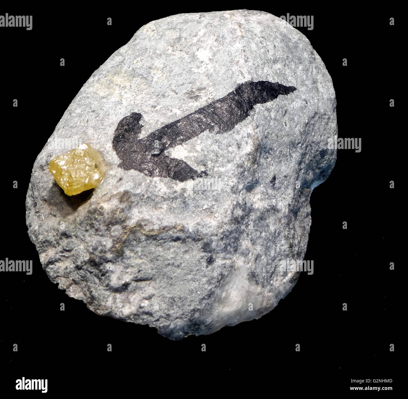 Un 'Kimberlite' Rock. Un rock più noto per talvolta contenenti diamanti, chiamato dopo la città di Kimberley in Sud Africa, dove la scoperta di un 83.5 carati (16,70 g) diamante nel 1871 ha generato un diamante rush, eventualmente la creazione del foro grande. Datata 2014 Foto Stock