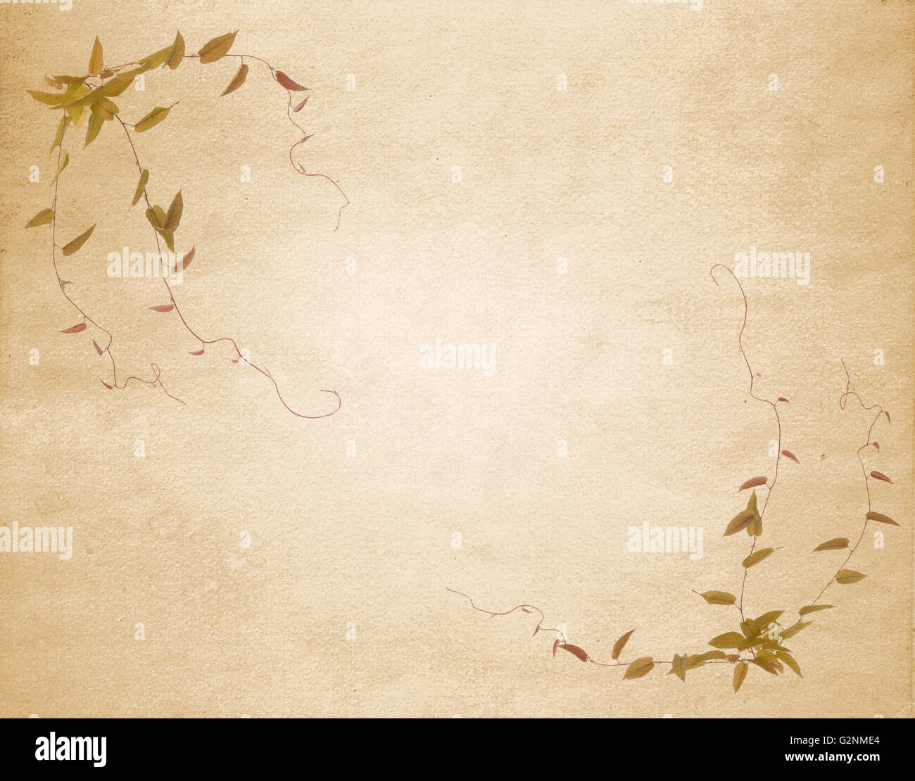 Featured image of post Carta Sfondo Antico