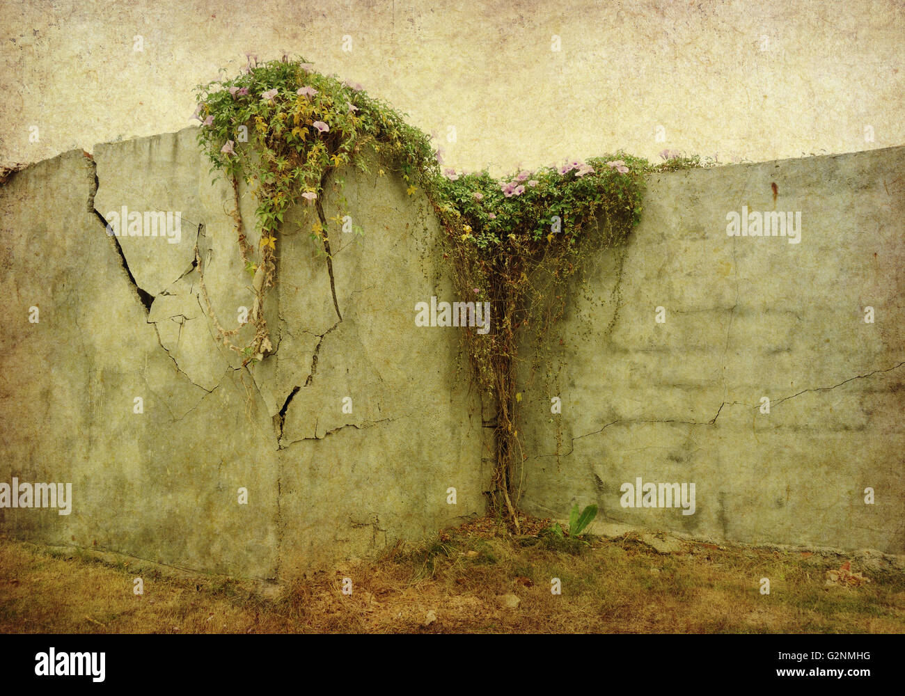 Grunge muro rotto Foto Stock