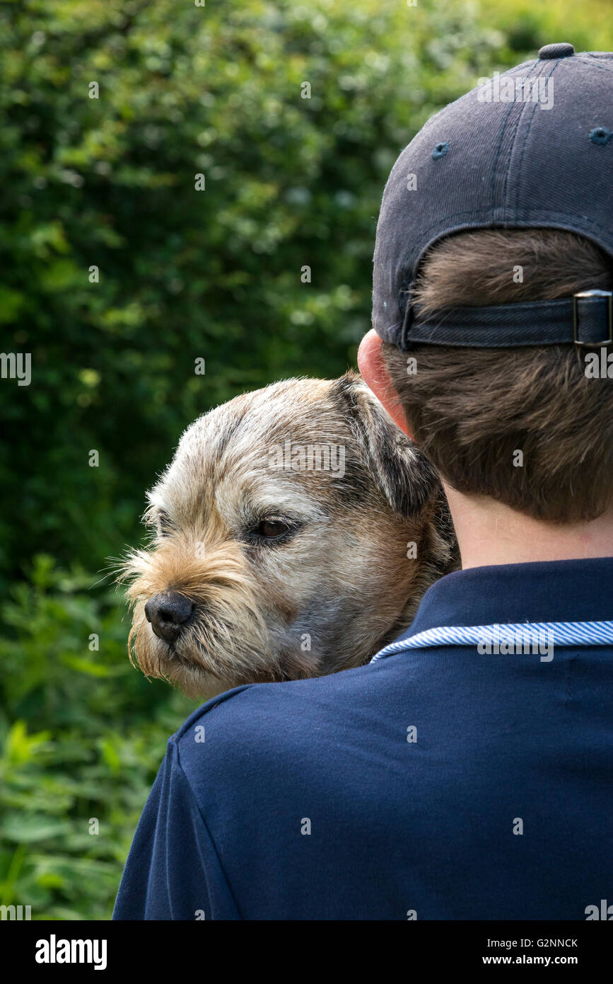 Border Terrier guardando sopra il retro del giovane ragazzo che porta a lui. Foto Stock