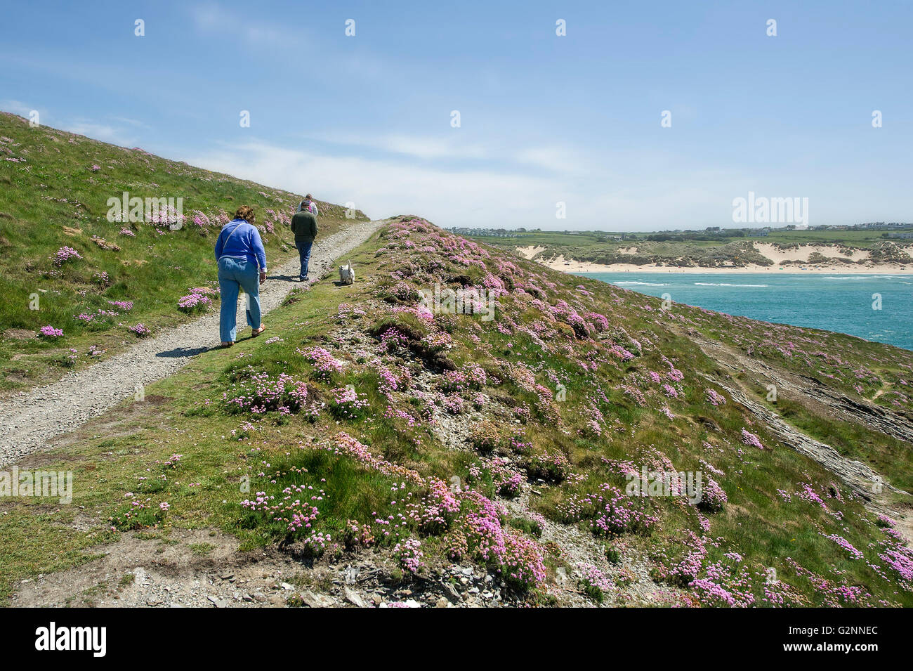 Tempo soleggiato come vacanzieri godere di una passeggiata su East Pentire in operazioni automatiche di fine campo, Newquay Cornwall. Foto Stock