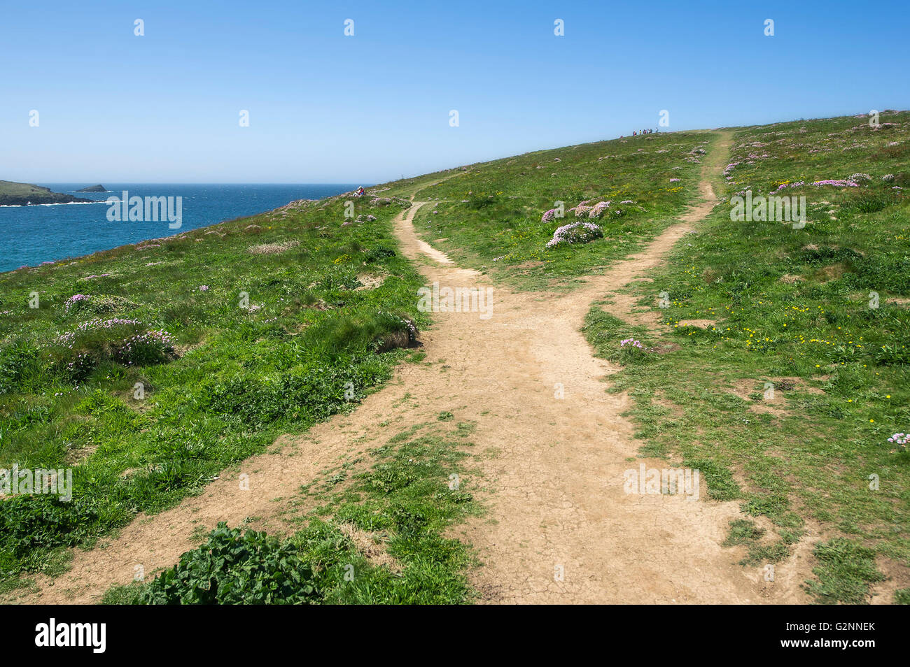 Tempo soleggiato. Sentieri usurati su East Pentire in operazioni automatiche di fine campo, Newquay Cornwall. Foto Stock