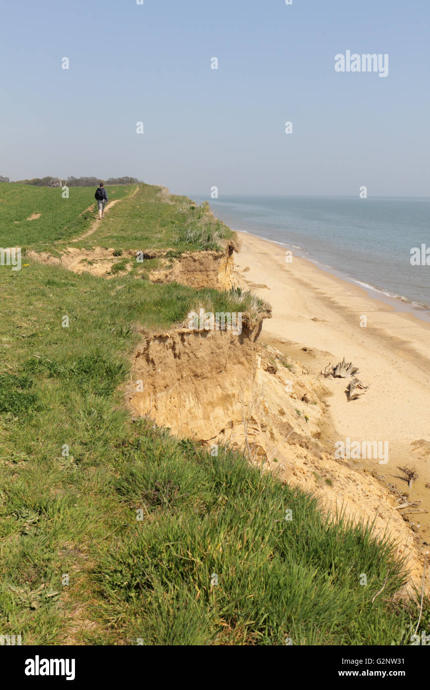 Erosione costiera della scogliera di arenaria a Benacre, Suffolk, Inghilterra, Regno Unito. Foto Stock