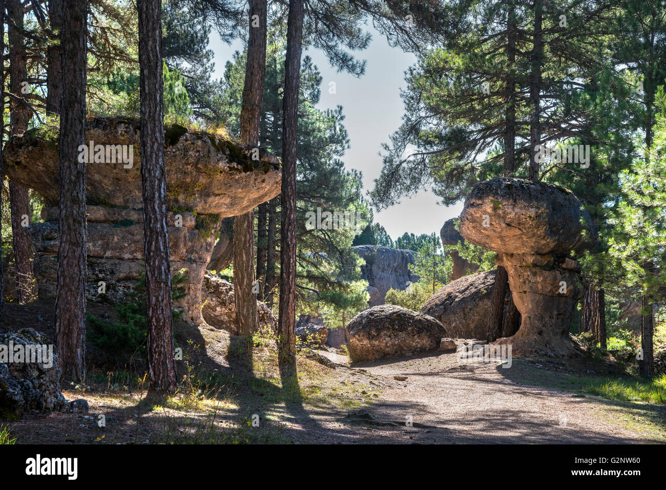 Erosi affioramenti calcarei in La Ciudad Encantada, La città incantata, Parco, Serrania de Cuenca Castilla-la Mancha, in Spagna Foto Stock