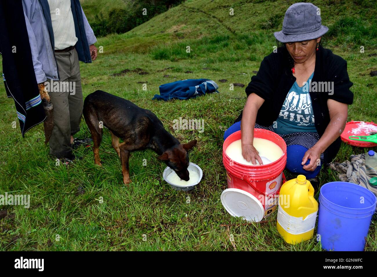 Cagliatura del latte per elaborazione del formaggio tradizionale in Sapalache ' Las Huaringas ' - HUANCABAMBA.. Dipartimento di Piura .PERÙ Foto Stock