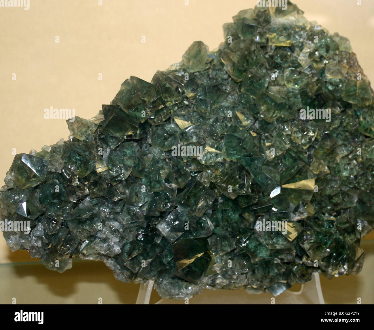 Fluorite, un alogenuro di isometrica minerale composto da fluoruro di calcio. Questo esempio mostra gemellata cubi fluorescenti. Foto Stock