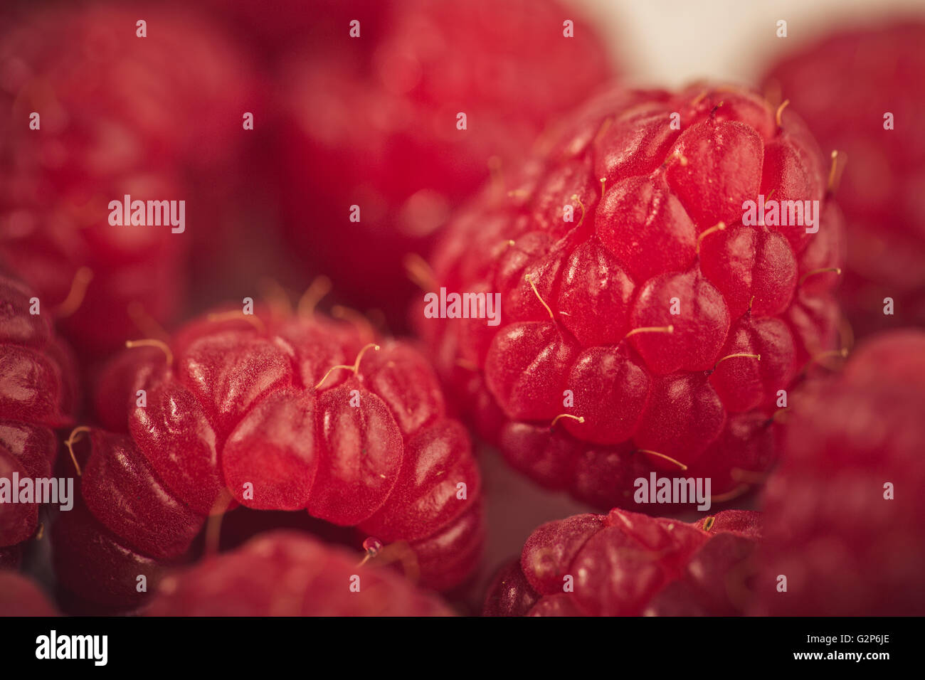 Cumulo di fresche e mature Lamponi rosso da giardino Foto Stock