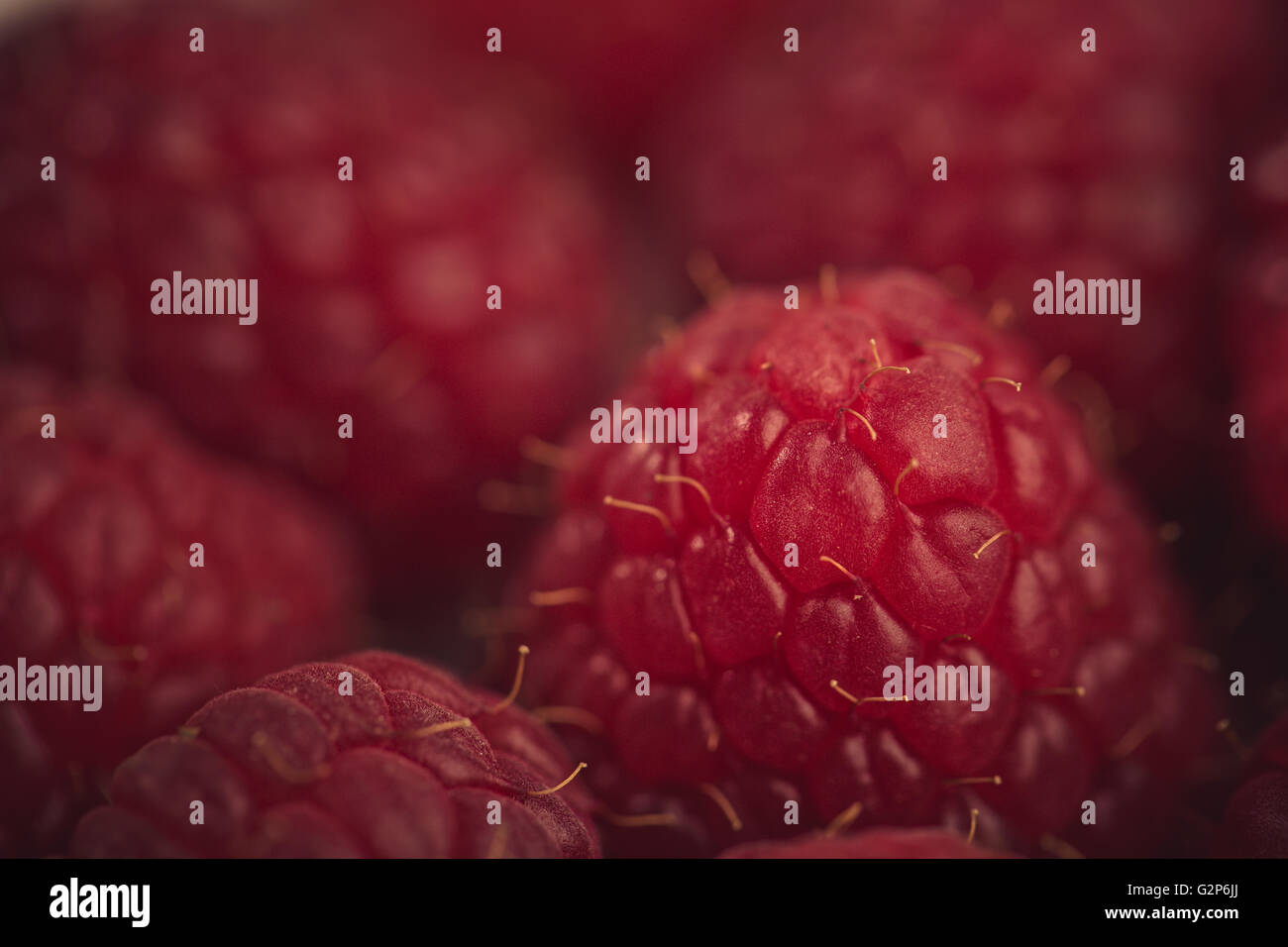 Cumulo di fresche e mature Lamponi rosso da giardino Foto Stock