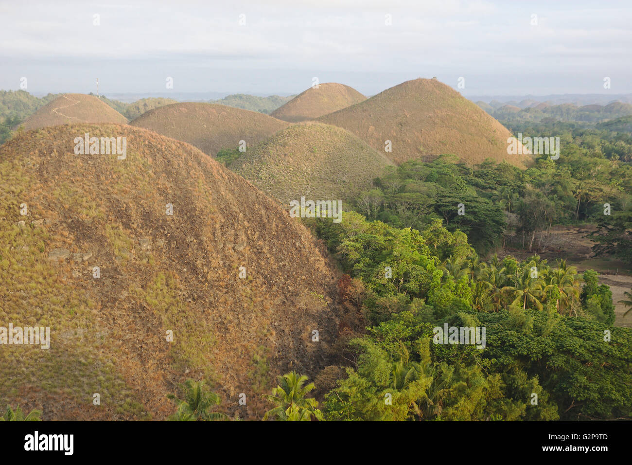 Chocolate Hills a Bohol, la luce del mattino, Filippine Foto Stock