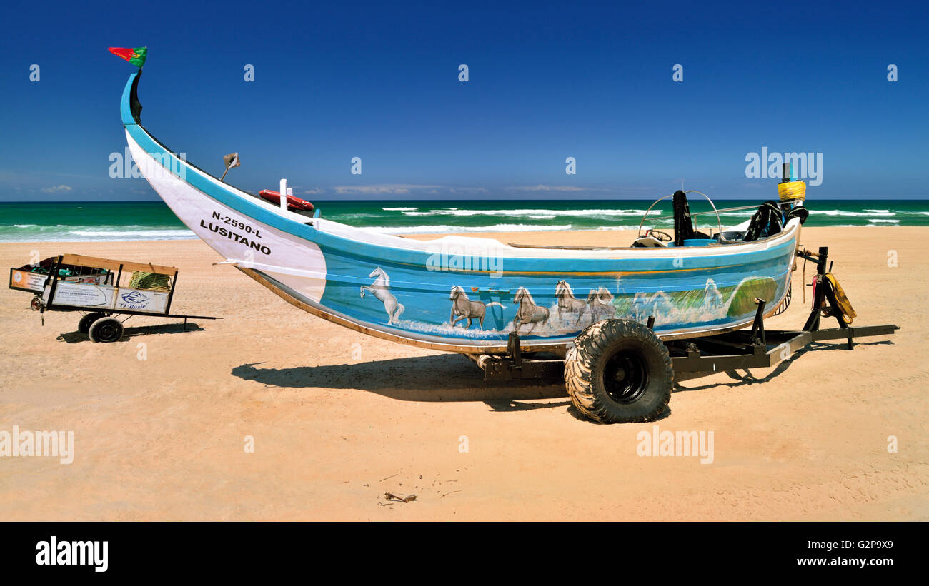 Portogallo: tradizionale di pescatori dipinte in barca con i cavalli che giace sulla spiaggia di Praia da Vieira Foto Stock