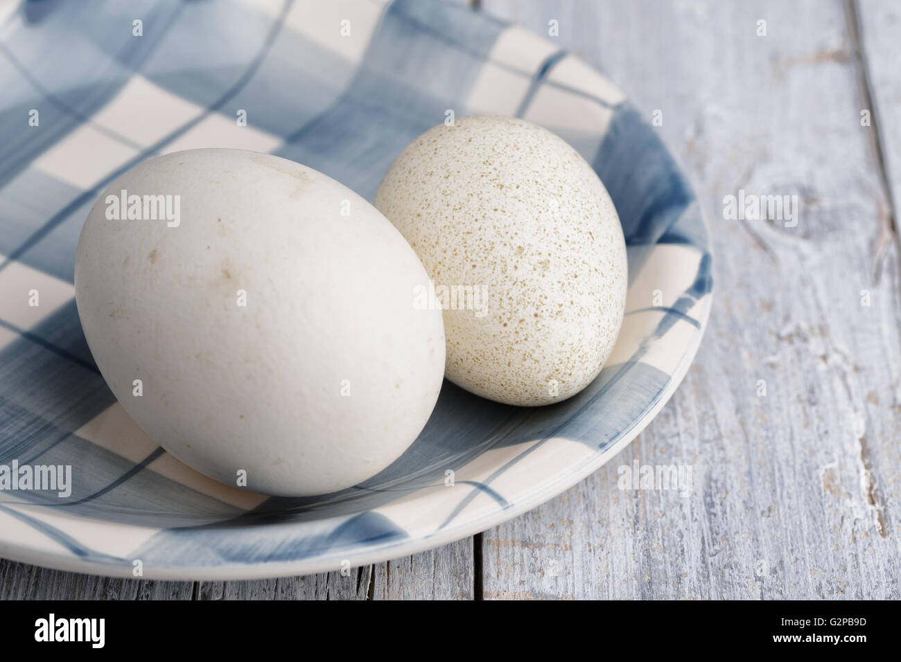 Uovo di oca e anatra sul bianco e blu della piastra sulla tavola di legno Foto Stock