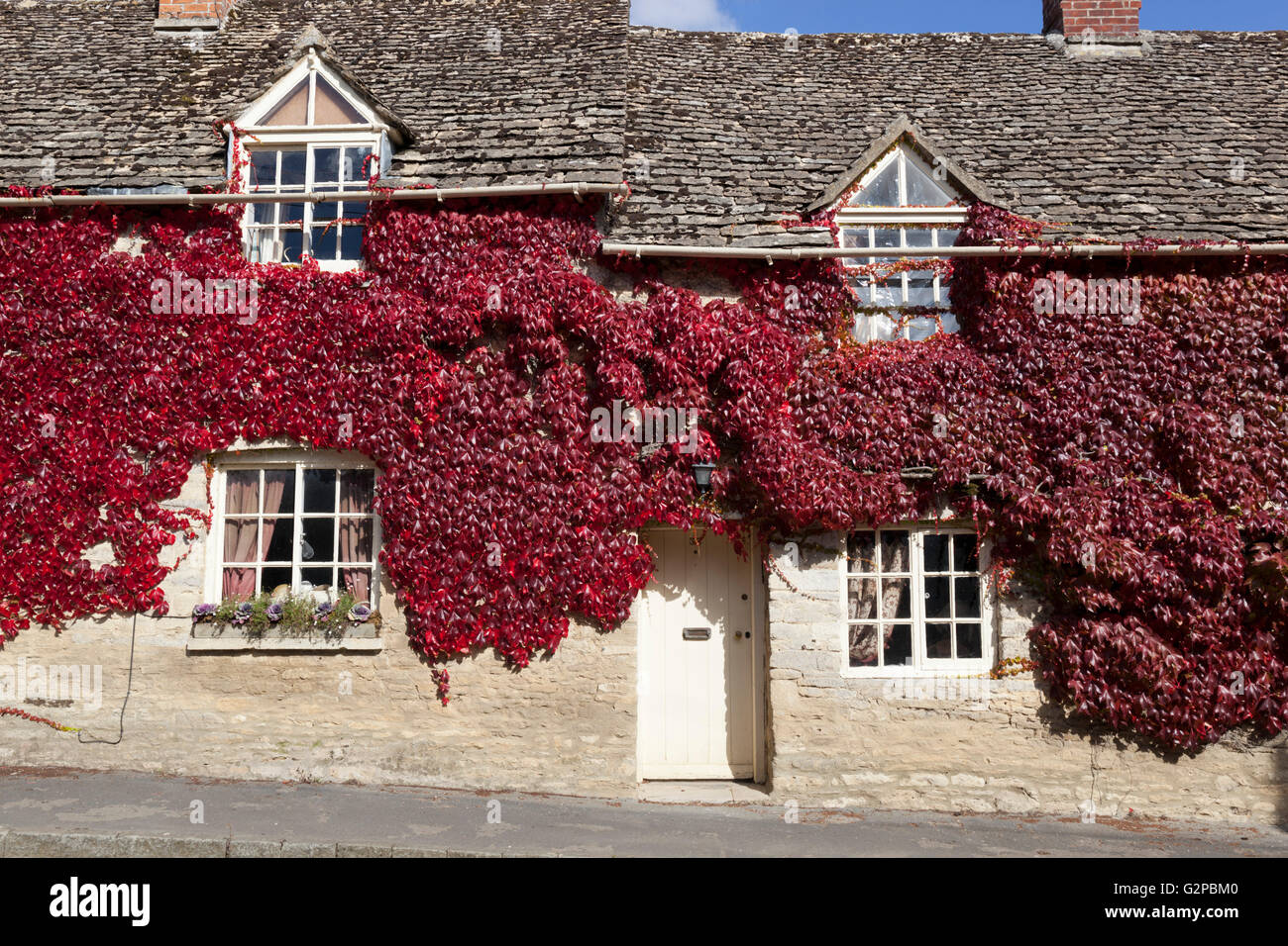 Red edera sul muro di casa, Coln St Aldwyns, Cotswolds, Gloucestershire, England, Regno Unito, Europa Foto Stock