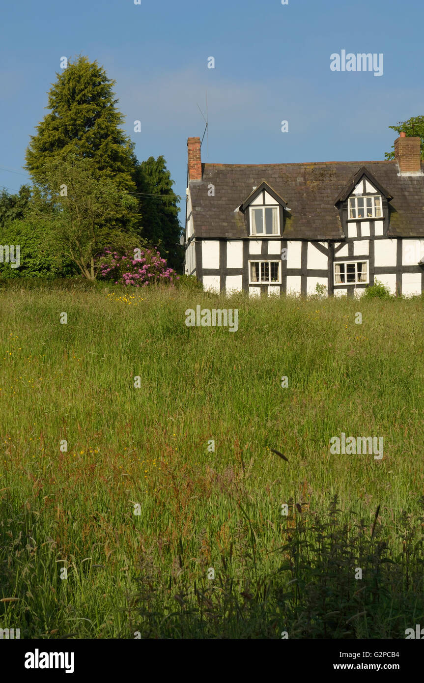 Cottage a Weston sotto Redcastle. Shropshire. In Inghilterra. Regno Unito. Europa Foto Stock