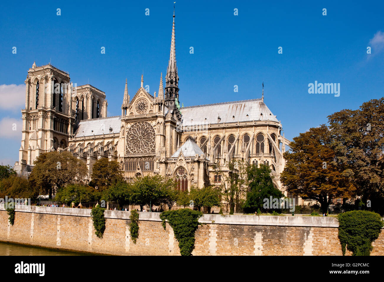 Cattedrale di Notre Dame de Paris, Francia Foto Stock