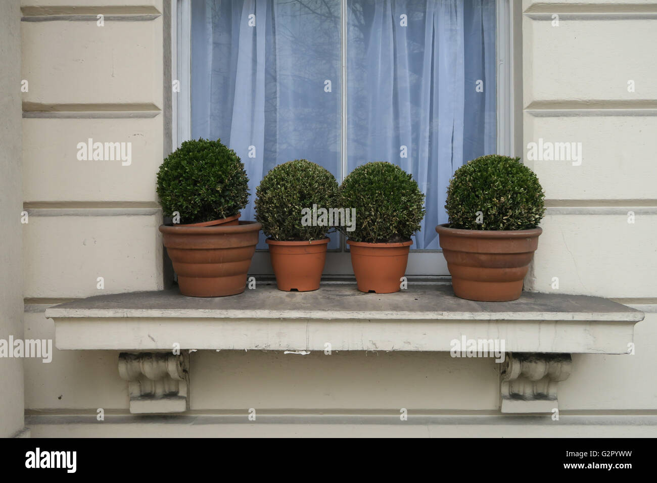 Piccolo giro di boccole in vasi per piante sul davanzale Foto Stock