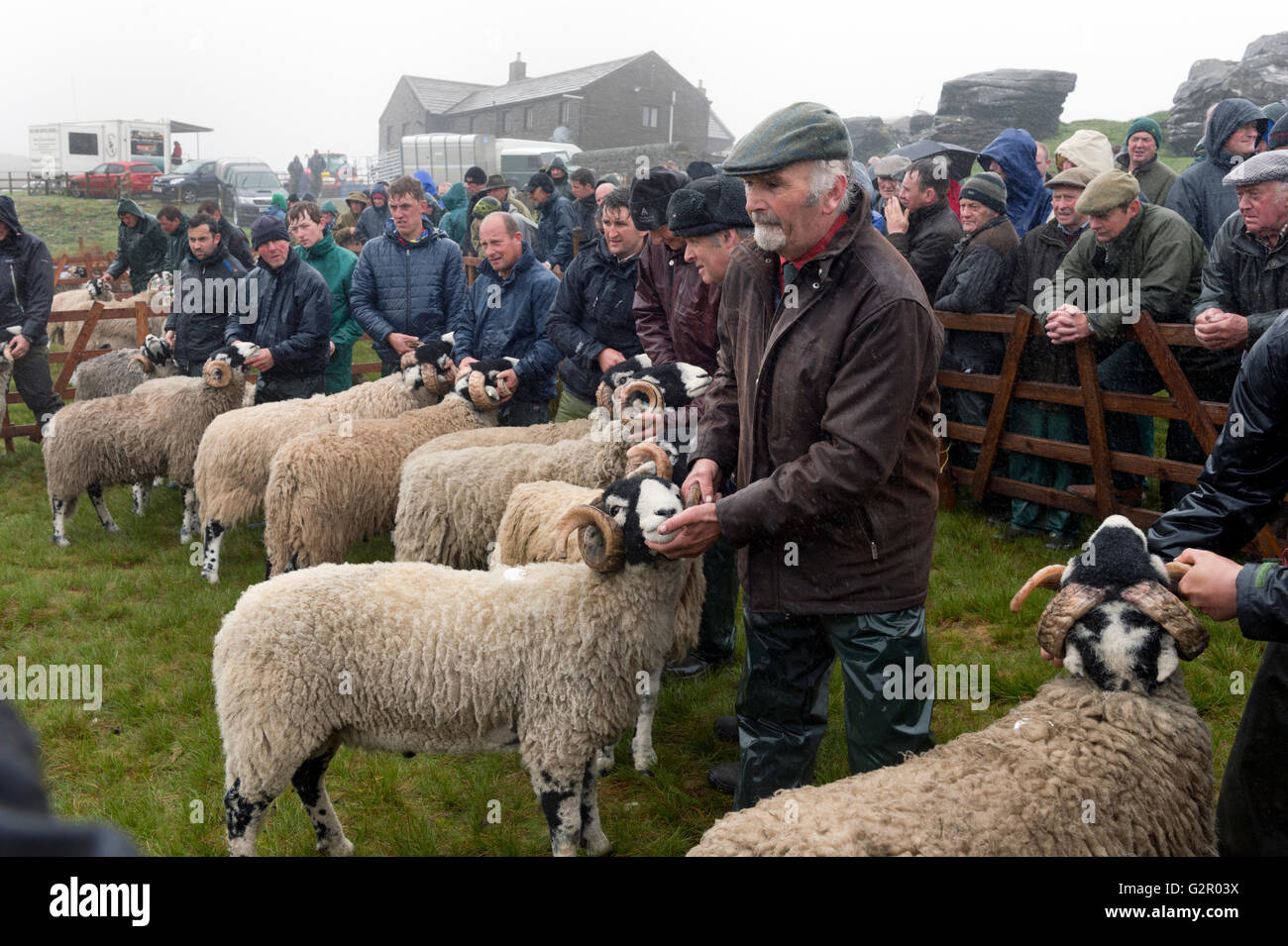 I concorrenti in 63rd Tan Hill Open Swaledale Spettacolo delle Pecore 2016, vicino a Richmond, North Yorkshire, Regno Unito Foto Stock