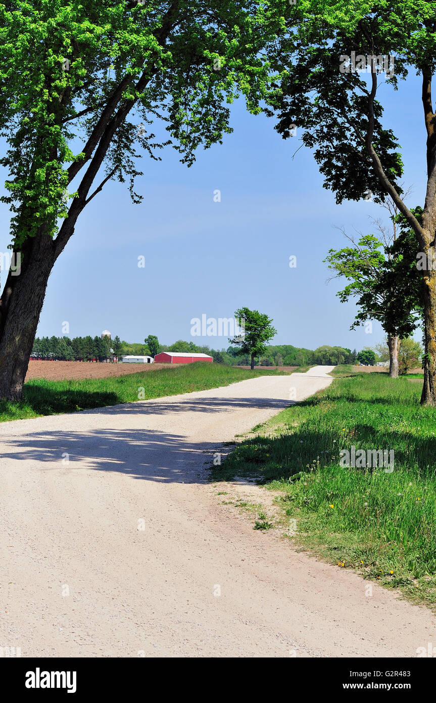 Una strada sterrata che si snoda attraverso il paese di fattoria nel nordest Illinois.Sycamore, Illinois, Stati Uniti d'America. Foto Stock