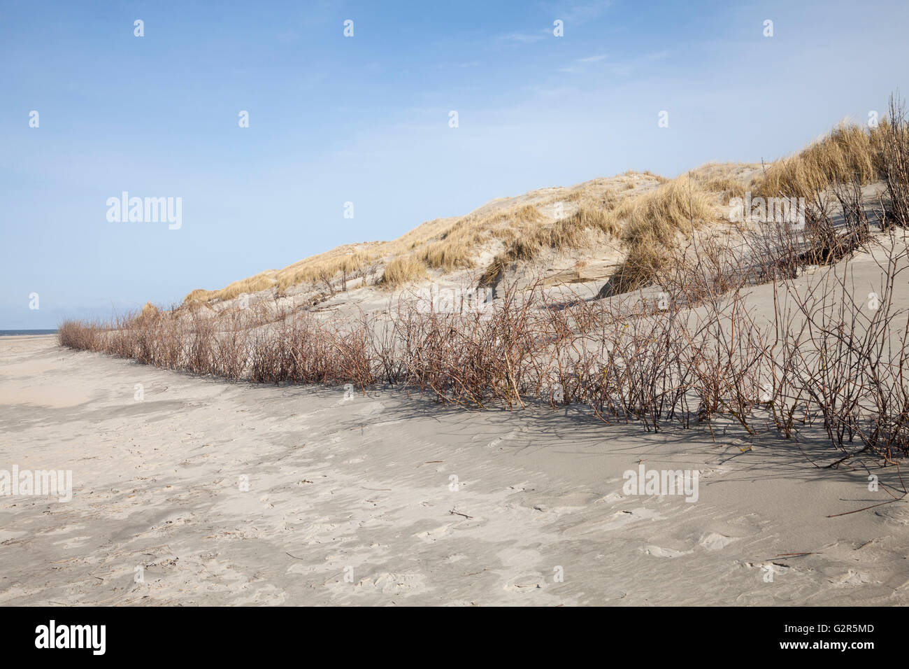 Dune di sabbia dell'isola Norderney Foto Stock Dune di sabbia dell'isola Norderney Foto Stock