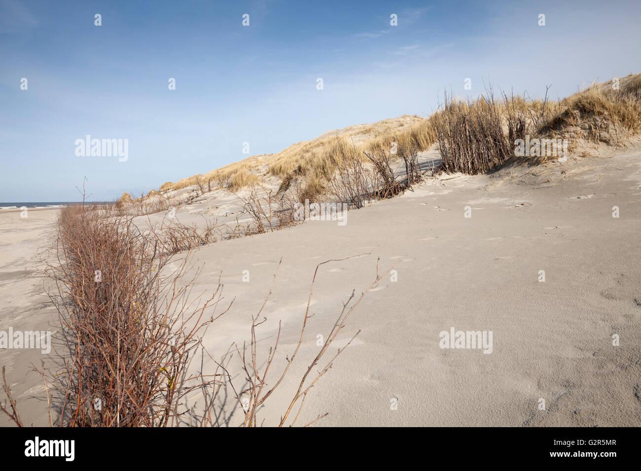 Dune di sabbia dell'isola Norderney Foto Stock Dune di sabbia dell'isola Norderney Foto Stock