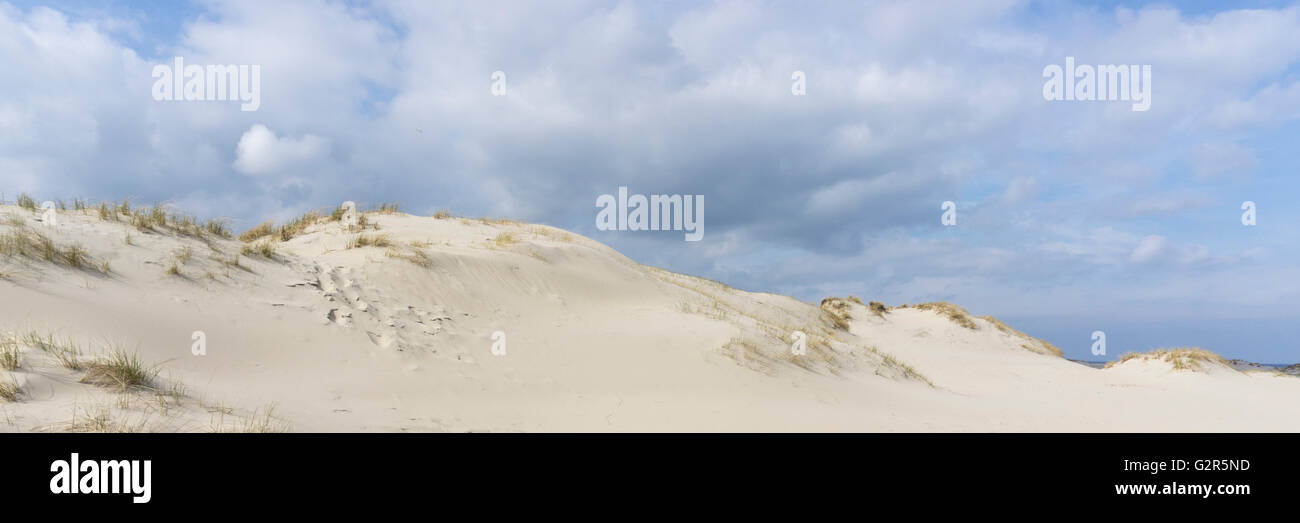 Dune di sabbia dell'isola Norderney Foto Stock Dune di sabbia dell'isola Norderney Foto Stock