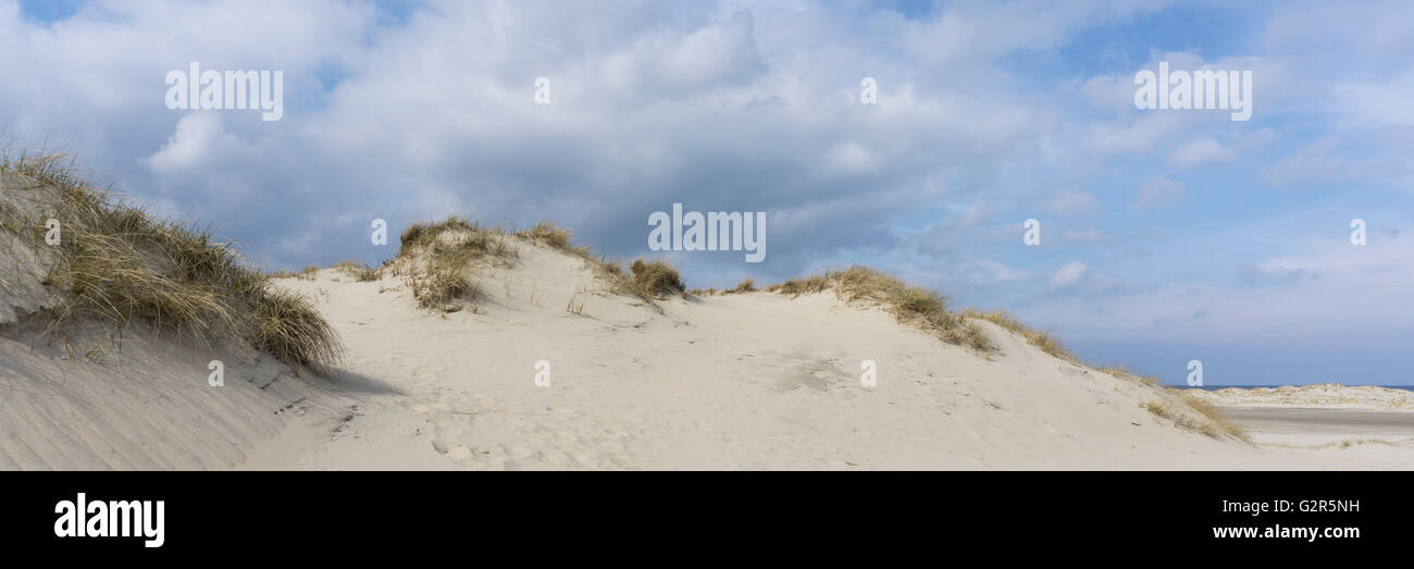Dune di sabbia dell'isola Norderney Foto Stock Dune di sabbia dell'isola Norderney Foto Stock