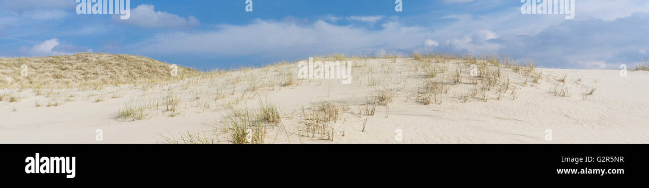 Dune di sabbia dell'isola Norderney Foto Stock Dune di sabbia dell'isola Norderney Foto Stock
