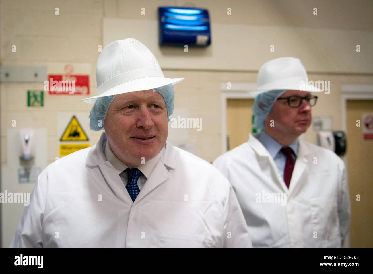 Boris Johnson (sinistra) e Michael Gove durante una visita alla casa colonica biscotti a Nelson, Lancashire, dove essi si battono per conto del voto lasciare UE campagna referendaria. Foto Stock