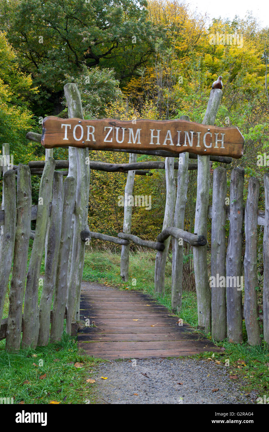 'Tor zum Hainich', gateway di Hainich National Park, patrimonio Unesco, Hainich, Bad Langensalza, Turingia Foto Stock