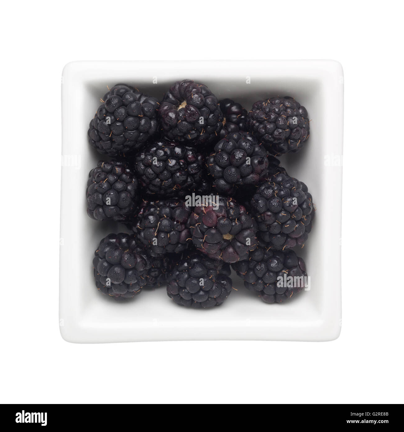 More in un recipiente quadrato isolato su sfondo bianco Foto Stock