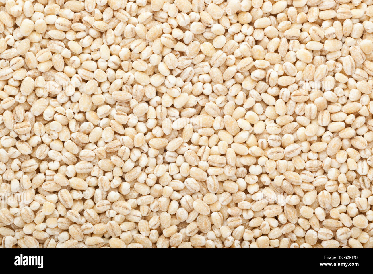 Primo piano di lotti di chicchi d'orzo Foto Stock