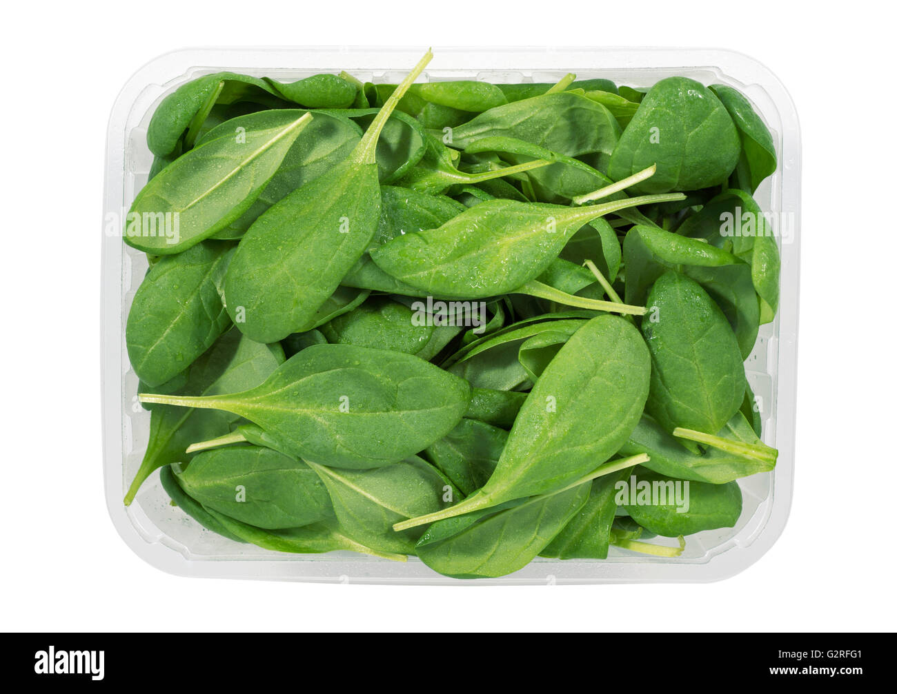 Vassoio di plastica piena di verde e fresco di foglie di spinaci Foto Stock