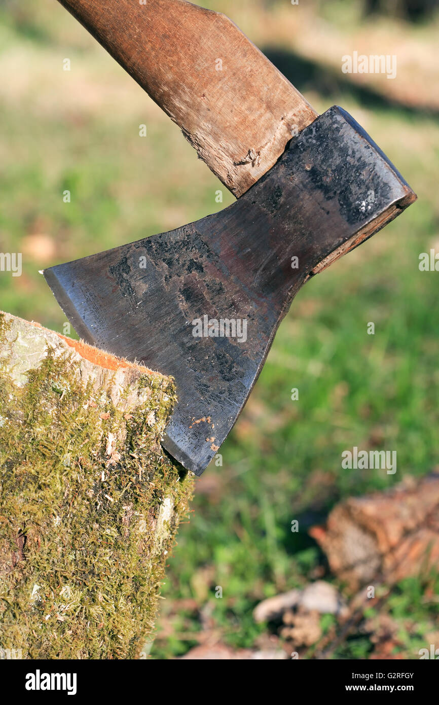 Legna da ardere frazionamento. Primo piano della ax in log in estate natura sfondo Foto Stock