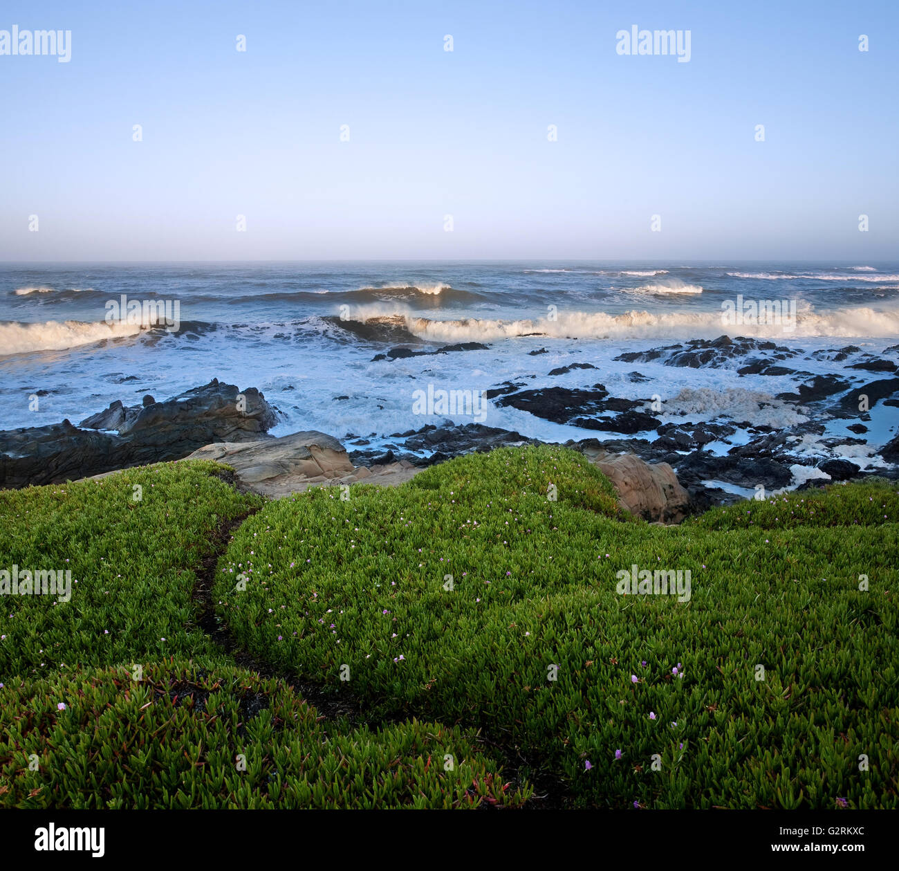 Alba illumina solo la sommità delle onde più alte, Oceano Pacifico lungo la costa californiana Foto Stock