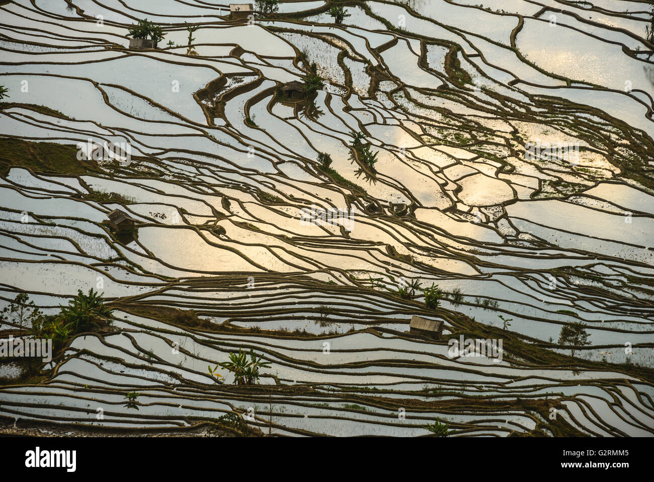 Infiniti campi di riso a Laohuzui aka Tiger bocca in Yuanyang, Cina Foto Stock