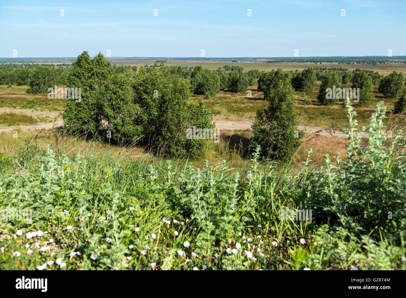 Gardelegen, Germania, formazione militare Altmark nel Colbitz-Letzlingen Heath Foto Stock