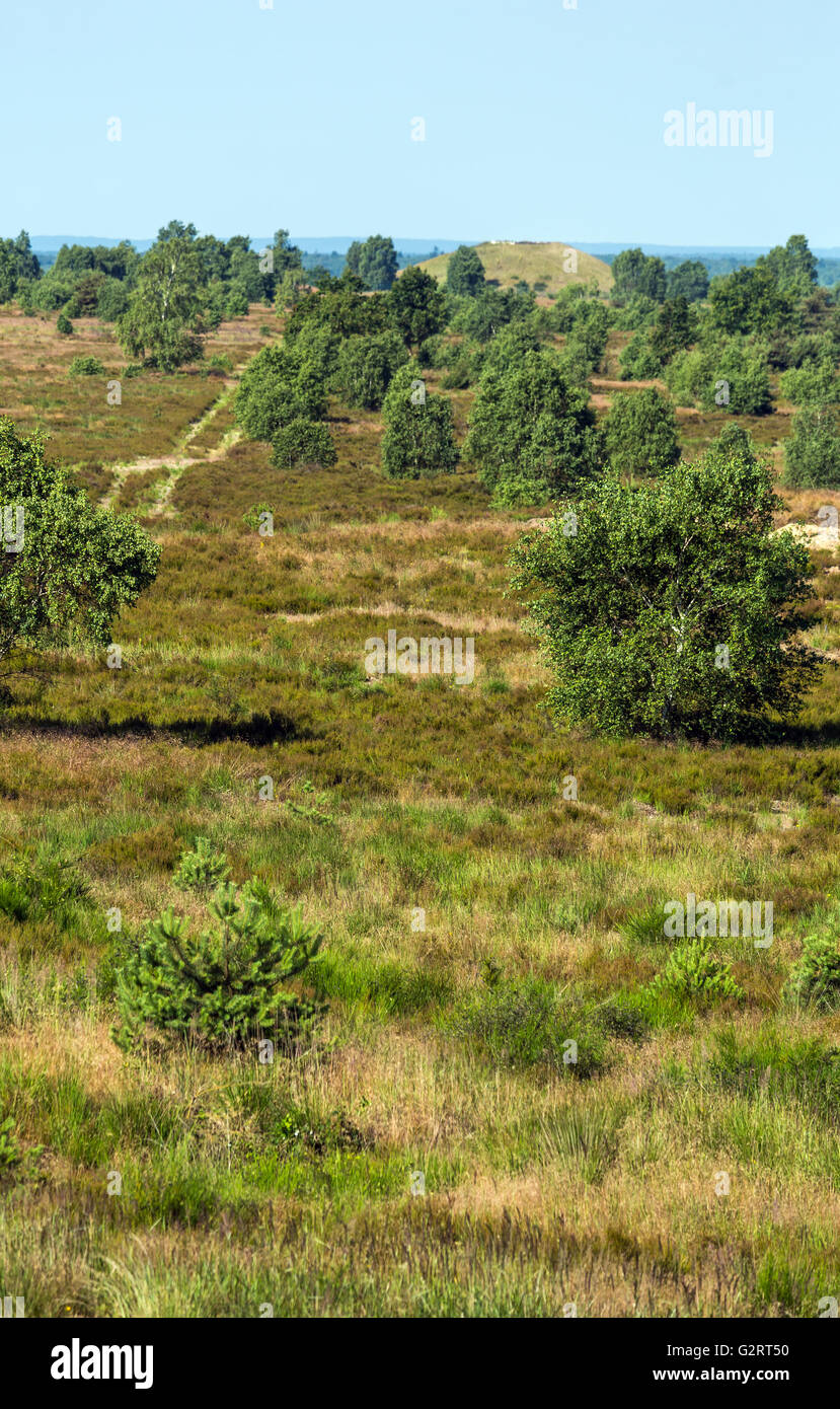 Gardelegen, Germania, formazione militare Altmark nel Colbitz-Letzlingen Heath Foto Stock