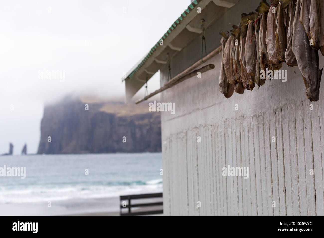 Pesci appesi ad asciugare con Risin e mare Kellingin pile in distanza a Tjørnuvík, Streymoy, Isole Faerøer, Danimarca in aprile - Tjornuvík, Foto Stock